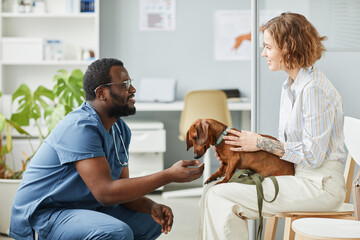 Happy young pet owner consulting with African-American male veterinarian in blue medical scrubs...