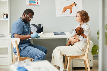 Young veterinarian in blue scrubs making medical notes after consultation and examination of sick duchshund dog in clinics