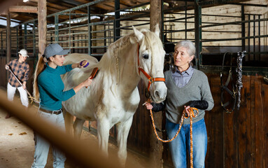 Two women caring for a white horse - brushing the sides