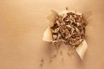 Wood shavings in torn paper. Cardboard paper background texture