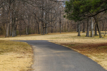 a long winding concrete footpath in the park surrounded by yellow winter grass, bare winter trees...
