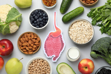 Layout of gastrointestinal tract model and products to help digestion on light table, top view