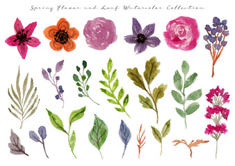 set of cute and beautiful spring flower watercolor