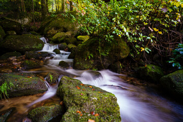 Obraz premium Wasserfall