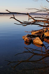 Water Reflections from Branches In The Water from Lake Starnberg in Bavaria February 2022