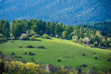 landscape in the mountains, spring, Liptov, Slovakia, Europe