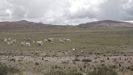 montañas 
