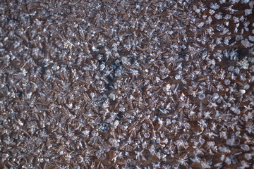 Fototapeta premium A frost pattern on a park bench on a winter morning