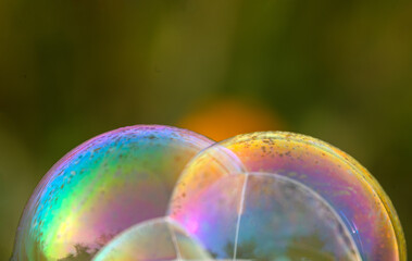 Soap bubbles creating colorful colors on the background of a park flower field