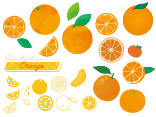 オレンジのイラスト集(果物、みかん、柑橘、水彩、線画、輪切り、リアル)
Orange illustration collection.Fruit, tangerine, citrus, watercolor, line drawing, round cutting, real.