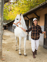 Skilled asian female stable worker leading white horse by bridle outdoors along stalls. Equestrian business concept..