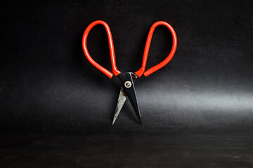 scissors and ribbon