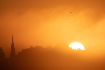 Obraz premium Le ver de soleil dans la brume, derrière les Arbres