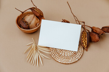 Minimal aesthetic background with blank card and dry floral branch on beige background. Wedding...