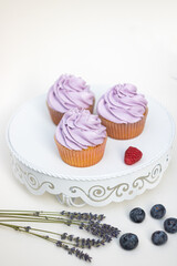 blueberry cupcake on a plate