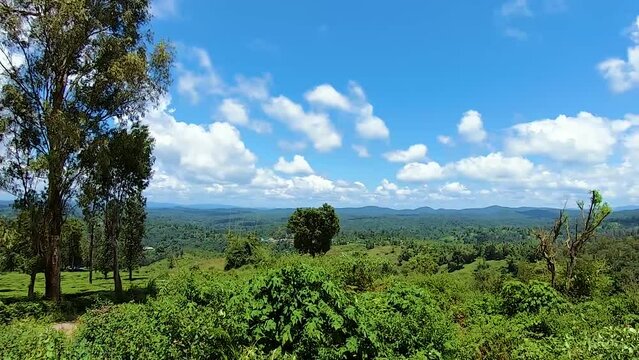 tea garden view at mountain top with bright blue sky from flat angle video taken at ooty tamilnadu india.