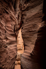 Sandy Trail Visible Through Smooth Slot Canyon Walls