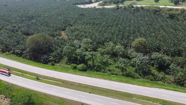 Autopista desde el aire, pasan buses, autos y motos