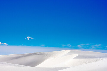 Fototapeta na wymiar Smooth Edge of Dune Makes Its Way To The Peak