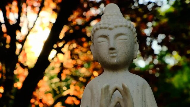 Buddha statue in the rays of the sun. Meditation and relaxation Zen. Buddhism religion background.Calm, balance and harmony.Buddhism symbol. 4k footage