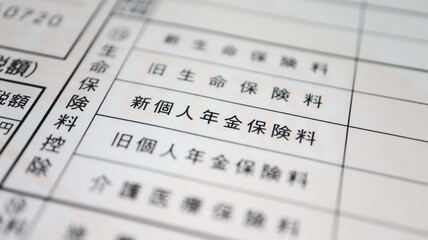 Tax return of Japan 2020 (確定申告）