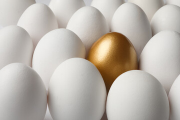 Golden egg among ordinary ones as background, closeup