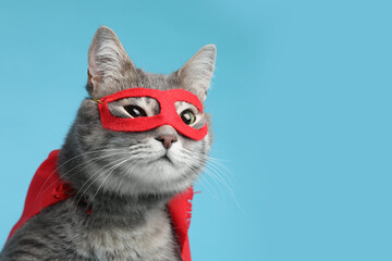 Adorable cat in red superhero cape and mask on light blue background, space for text © New Africa