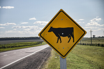 Cartel vaca carretera advertencia 