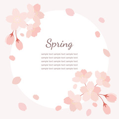 桜の花と花びらのイラストの背景素材　正方形