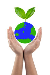 World environment day concept.Hands holding plant growing on earth globe isolated on white background.