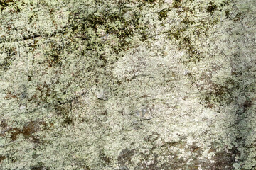 texture of stone and lichen