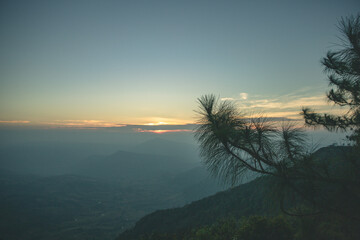 Morning sunrise and beautiful pinus kesiya tree and hill valley at viewpoint on top of Phu ruea national park, Loei province, Thailand. Photo with copy space