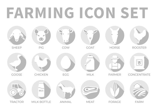 Flat Gray Farm or Farming Icon Set of Sheep, Pig, Cow, Goat, Horse, Rooster, Goose, Chicken, Egg, Milk, Farmer, Concentrate, Tractor, Bottle, Animal, Meat, Forage and Farm Icons.