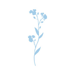 Forget-me-not flower vector illustration isolated on white background, colorful delicate silhouette, decorative herbal doodle, for design medicine, wedding invitation, greeting card, floral cosmetics