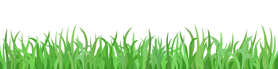 Green grass on white background, panoramic view, vector illustration