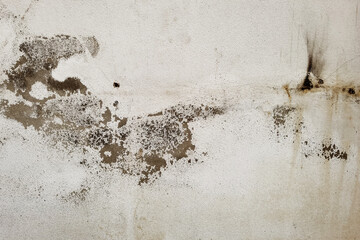 Concrete cement cracked wall texture for background                                                                            