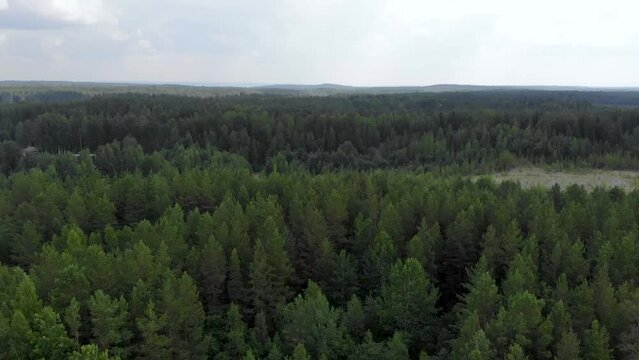 Aerial view of landscape with forest and lake in Karelia