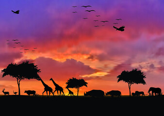 Fototapeta na wymiar Animals And Wildlife Sunset