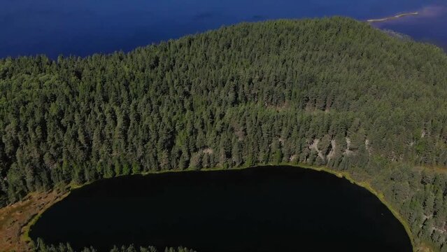 Aerial view of landscape with forest and lake in Karelia