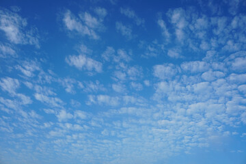 Fototapeta na wymiar Altocumulus cloudson blue sky background. Small mid-level layers or patches of clouds.