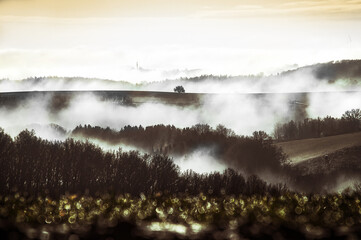 Fog over the valley