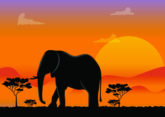 Fototapeta na wymiar Sunset silhouetting an Elephant