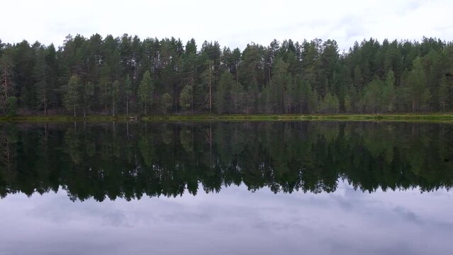 View of the forest reflected in the lake in Kariliya