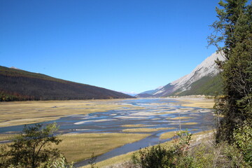 Draining Medicine Lake, Jasper National Park, Alberta