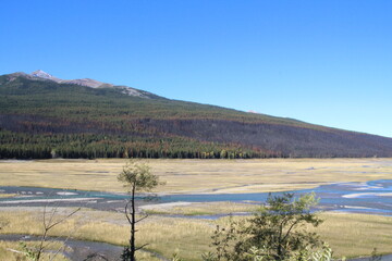 Wetlands Along The Lake, Jasper National Park, Alberta
