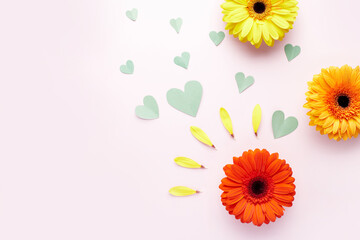 The concept of hello spring. Valentine's Day. Gerbera flower and hearts fly nearby. Flat lay.