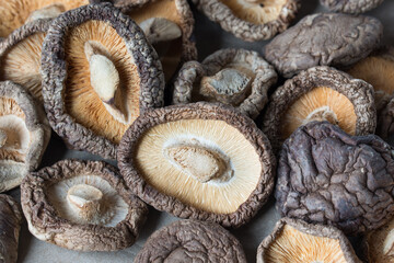 dried shiitake mushroom closeup selective focus