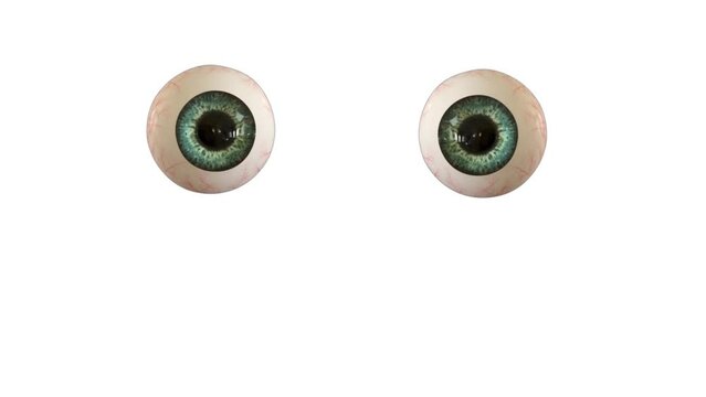 Funny Animation Two Eye Balls Reactions - Cartoon Eyes Animation on White Screen Matte Background 4K Stock Footage.