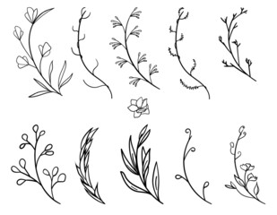 Floral Hand drawn wreath branch wedding herb plant elegant leaves invitation design save the date card botanical element
