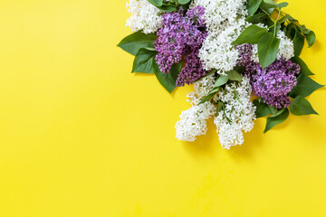 Spring mock up, flat lay. Lilac flowers on yellow background. Decorative border, copy space.
